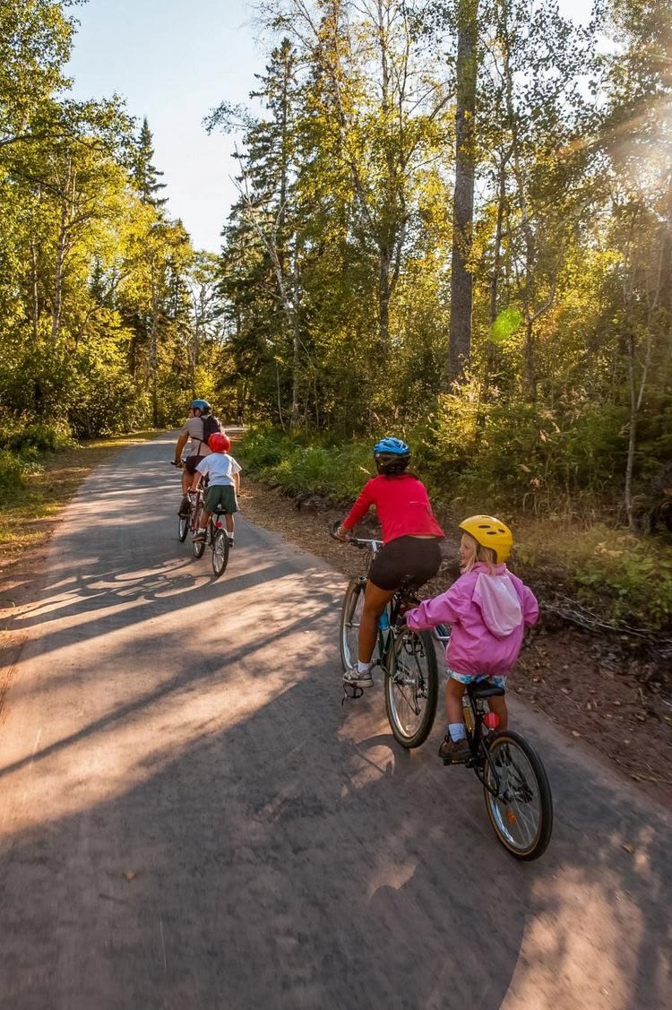 Familia paseando en bicicleta por el bosque